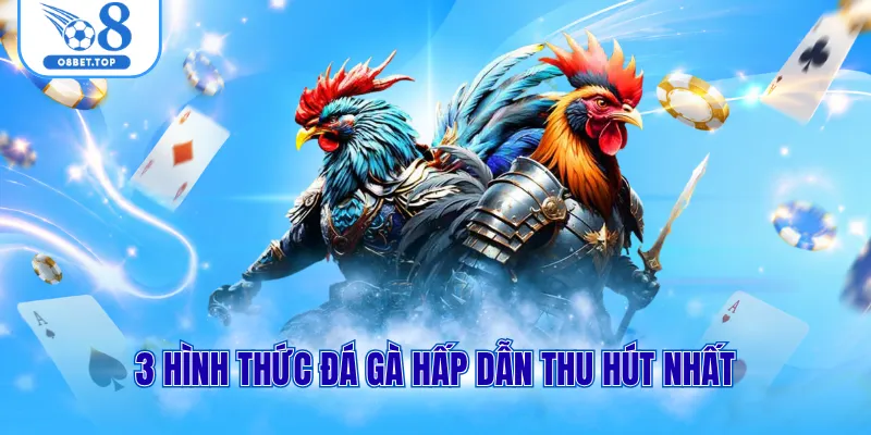 Đá gà O8 3 3 hình thức đá gà hấp dẫn thu hút nhất