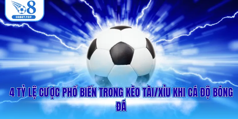 Kèo Tài Xỉu Là Gì? Điểm Danh 3 Mẹo Bắt Kèo Chuẩn Cho Tân Thủ 2 4 tỷ lệ cược phổ biến trong kèo tài/xỉu khi cá độ bóng đá