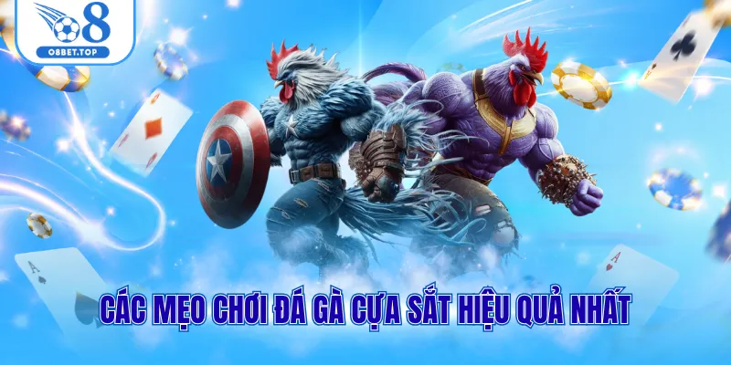 Các mẹo chơi đá gà cựa sắt hiệu quả nhất