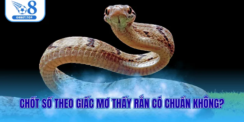 Chốt số theo giấc mơ thấy rắn có chuẩn không?