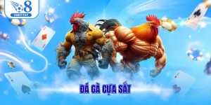 Đá Gà Cựa Sắt