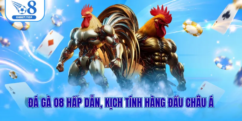 Đá gà O8 1 Đá gà O8 hấp dẫn, kịch tính hàng đầu châu Á