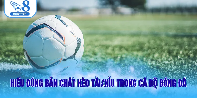 Kèo Tài Xỉu Là Gì? Điểm Danh 3 Mẹo Bắt Kèo Chuẩn Cho Tân Thủ 1 Hiểu đúng bản chất kèo tài/xỉu trong cá độ bóng đá