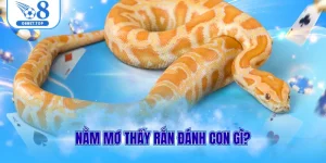 Nằm mơ thấy rắn đánh con gì?