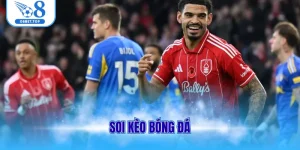 Soi kèo bóng đá