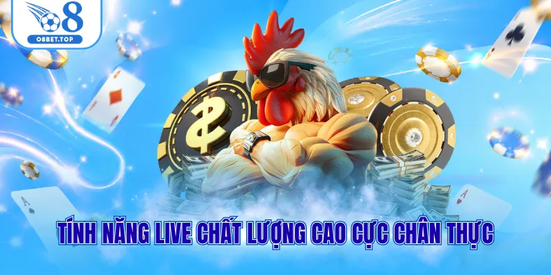 Đá gà O8 2 Tính năng live chất lượng cao cực chân thực